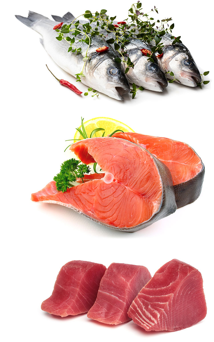 Three raw mackerel, two thick slices of salmon, and three thick slices of tuna tenderloin