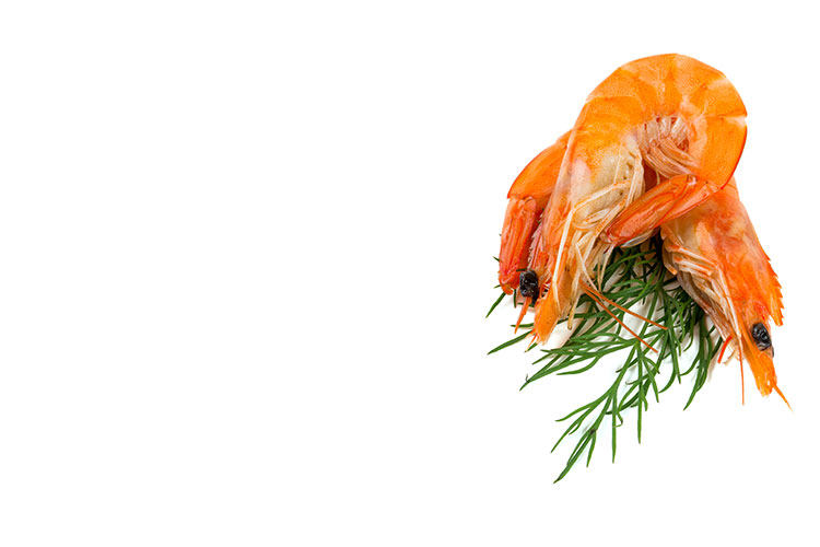 Two cooked shrimp stacked on top of each other